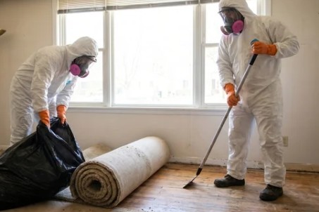 Certified technicians in protective equipment removing contaminated flooring